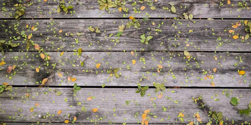 智翔IC55：如何以创新芯片架构重塑电子行业竞争力？