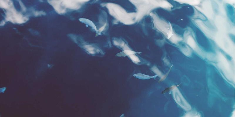 智翔IC82：解码电子行业核心，芯片与电阻的精密协奏曲