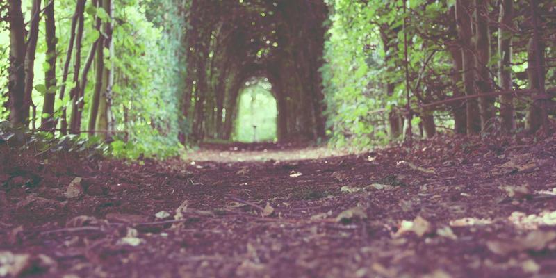 智翔IC：国产半导体产业链自主化的关键拼图与战略引擎