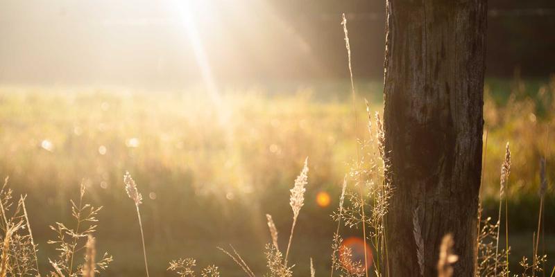 智翔IC智能座舱域控制器：如何用一颗芯片实现多屏联动与舱驾融合？