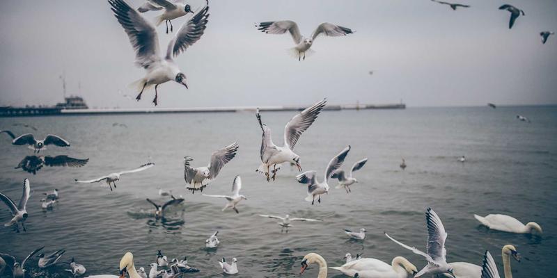 智翔IC电源管理芯片：揭秘数据中心服务器高效能与低功耗背后的半导体核心技术